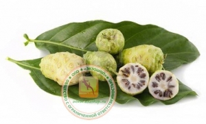 ЧАЙ НОНИ (MORINDA CITRIFOLIA - NONI TEA) - 20 ПАКЕТИКОВ ПО 2 ГР. - 40 ГР. ВЬЕТНАМ.