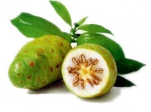 КАПСУЛЫ НОНИ ПРЕМИУМ - (NONI PILL PREMIUM) - MORINDA CITRIFOLIA - ОЧИЩЕНИЕ КРОВИ, УБИВАЮТ РАКОВЫЕ КЛЕТКИ, ДОЛГОЛЕТИЕ, САХАРНЫЙ ДИАБЕТ - 300 КАПСУЛ. ВЬЕТНАМ.