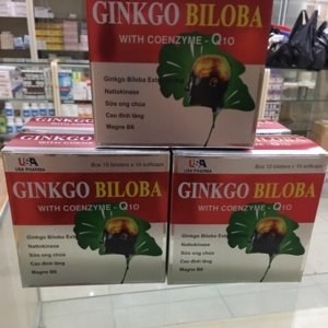 ПРЕПАРАТ (GINKGO BILOBA 360 NATTO Q10 - ГИНКГО БИЛОБА С КО ЭНЗИМОМ Q10) - ДЛЯ ГОЛОВНОГО МОЗГА - УВЕЛИЧЕННОГО СПЕКТОРА ДЕЙСТВИЯ - 100 КАПСУЛ. ВЬЕТНАМ